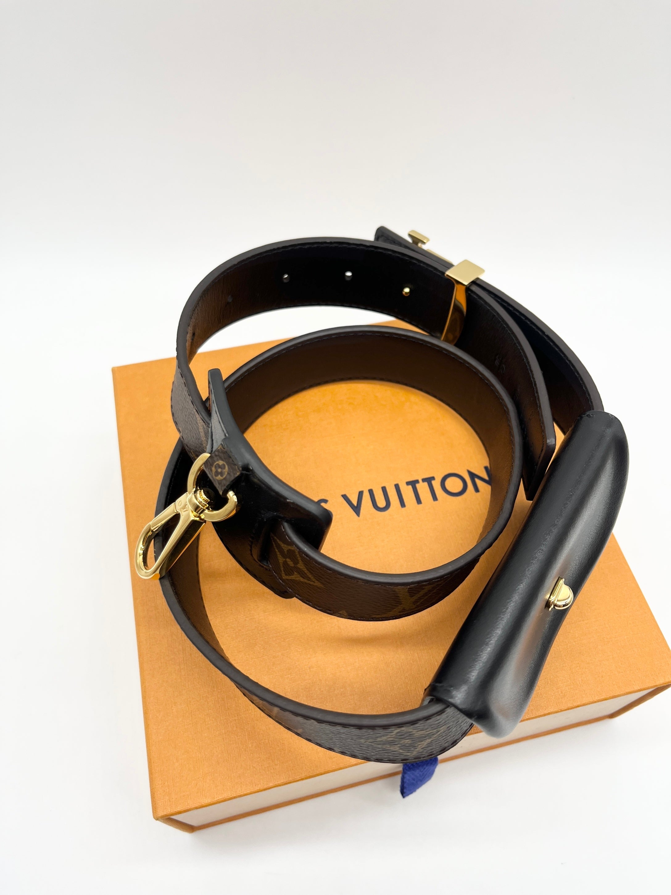 Cintura Louis Vuitton All You Need