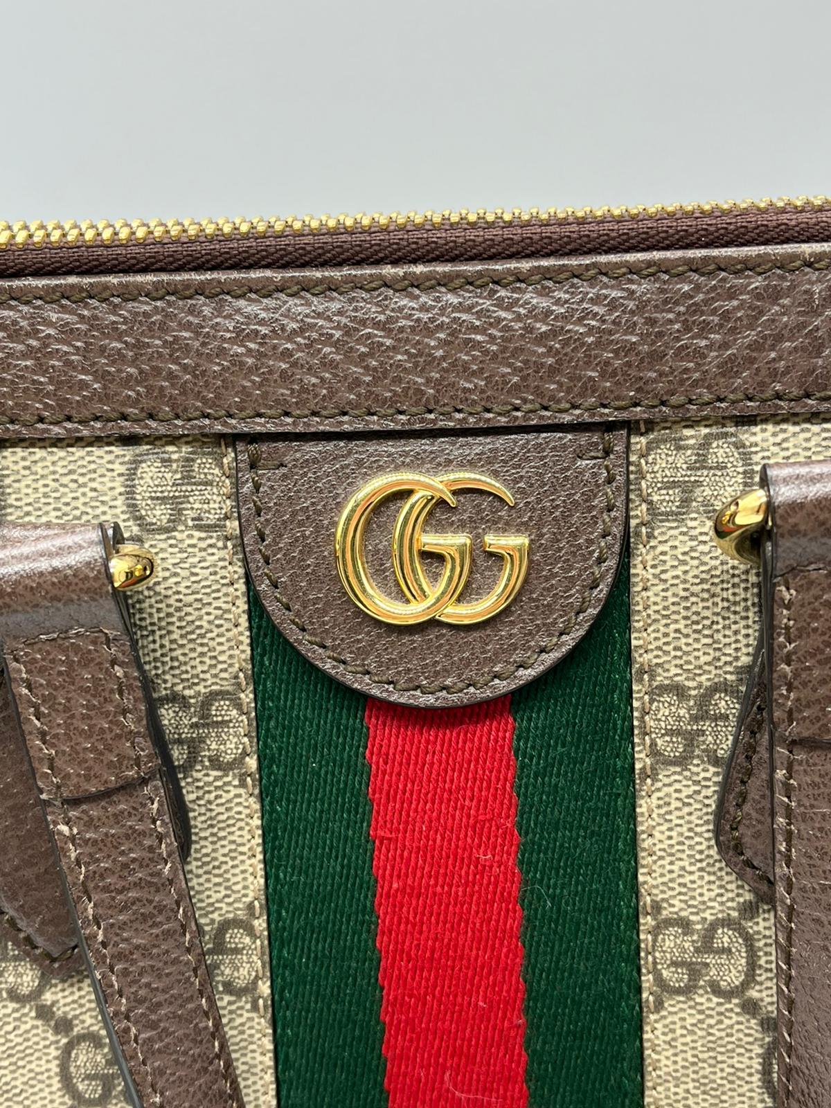 Gucci Ophidia Media