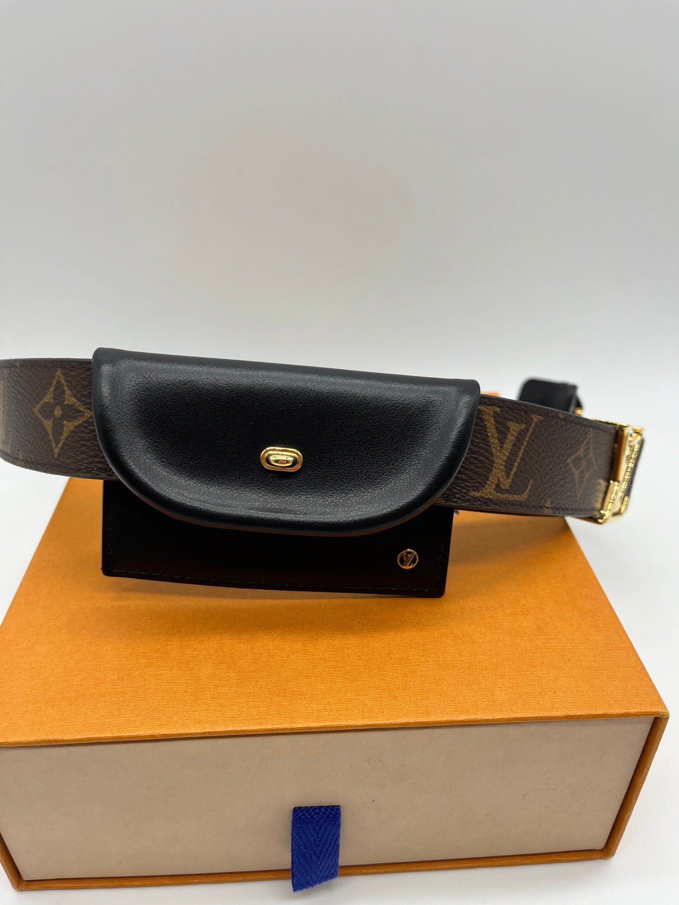 Cintura Louis Vuitton All You Need
